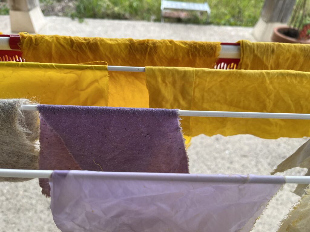 natural dyeing